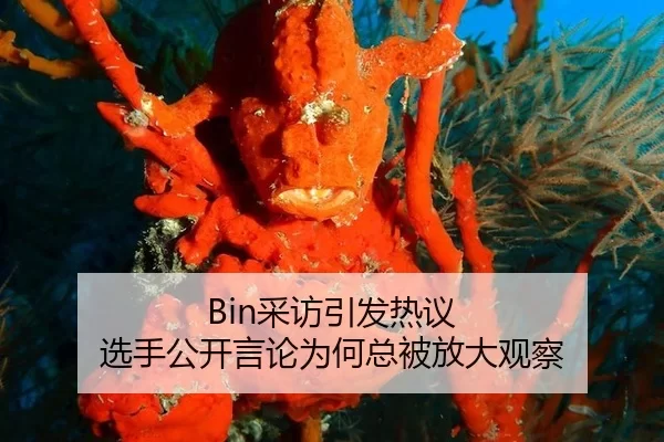 Bin采访引发热议 选手公开言论为何总被放大观察